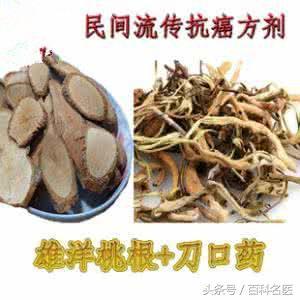 楊桃根可以抗癌症、降血糖？，有清熱解毒，消腫散疾的效用，改善消化功能、治療咳嗽 –