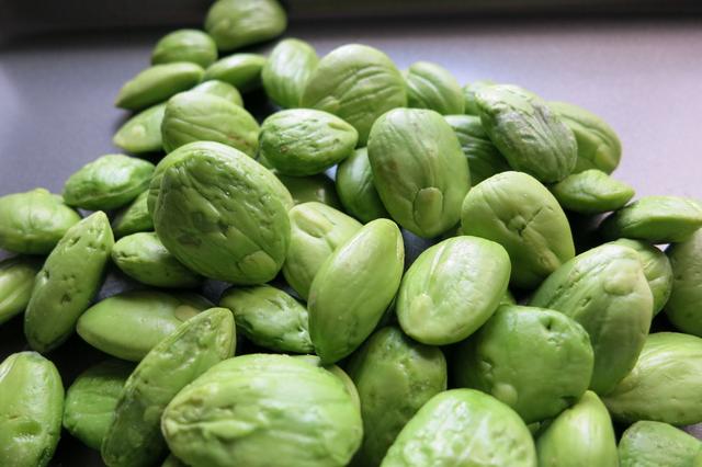 臭豆(Petai)包含三種類天然糖可以用於治療心髒病、糖尿病、血壓、便秘腎病和驅除兒童體內的蛔蟲等等 – 哈哈大笑