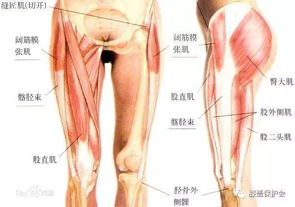 1天1分鐘，大部分膝關節痛都會自然好