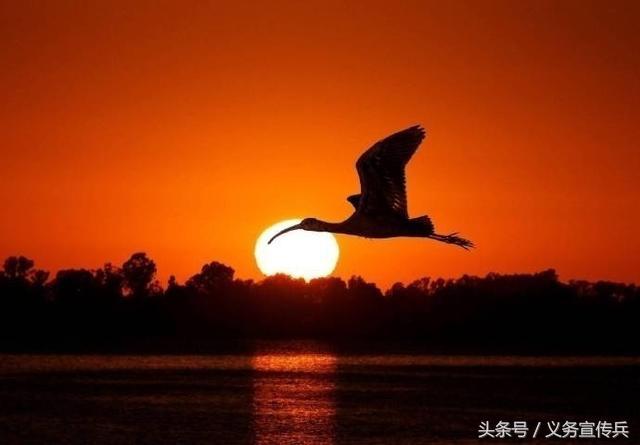 一位85歲老和尚的人生感悟：句句透徹，卻沒有幾個人能看懂！
