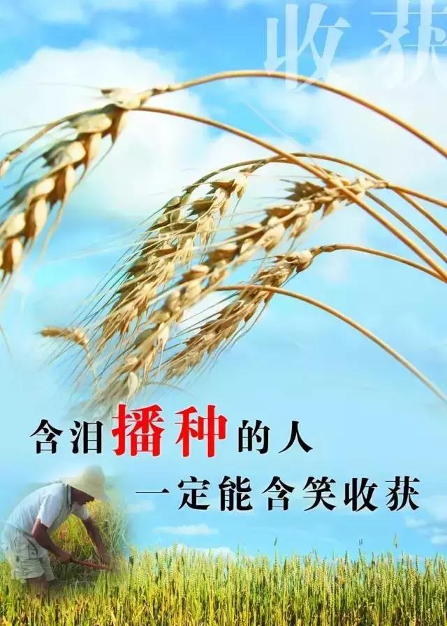 微笑+自信+努力&#x3D;成功，早安！