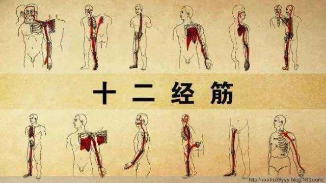 「中醫獨門拉筋法」在家就可以自己拉筋，讓你身上的筋結散和除百病 
