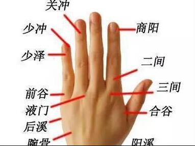 手部有6 條經脈循行，每週一次，身體百病不侵！ 