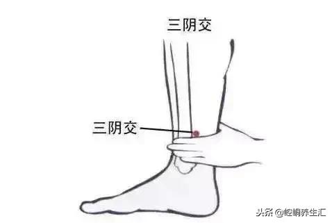 失眠？一閉眼全是夢？按按這3個穴位
