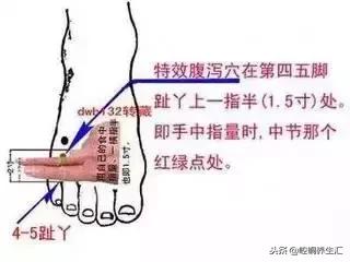 各種腹瀉，只需按摩一穴