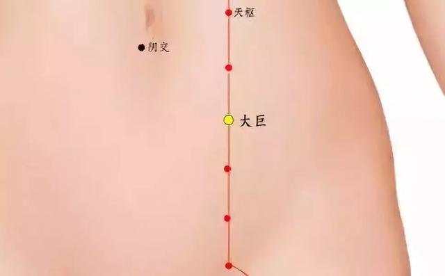按這裡，瘦小腹、去臉黃、固腎氣、調胃腸