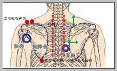 頭部藏著一個「黑髮劑」, 每天按2次「這個穴位」，一月生黑髮，白頭髮黑起來
