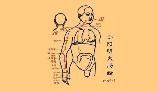 [情緒與經絡的走向]