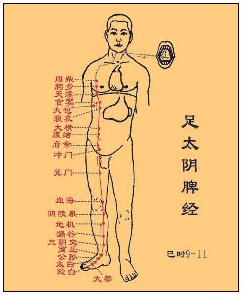 [情緒與經絡的走向]