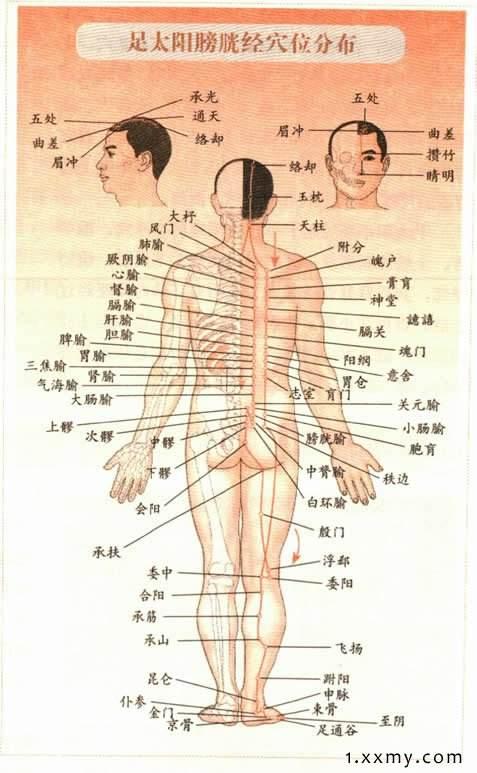 [情緒與經絡的走向]
