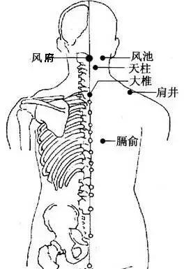 刮痧經絡排毒，讓你補得更有效！
