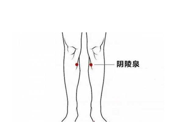 勞宮穴+陰陵泉穴，每天按揉5分鐘，可健脾利濕、降火、緩解瘙癢！