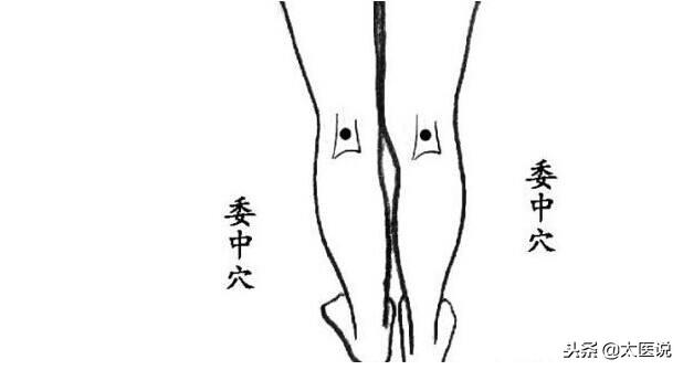 膀胱經原來這麼神奇，怪我沒有早點知道！