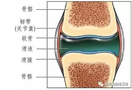 紅糖+黑豆，是滑膜炎「救命藥」！2週不到，減少膝關節疼痛發炎，趕走腿腳麻木，人老腿腳好！