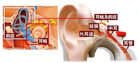 【耳水不平衡暈眩症秘方】轉發一次，救人無數！ 功德無量！