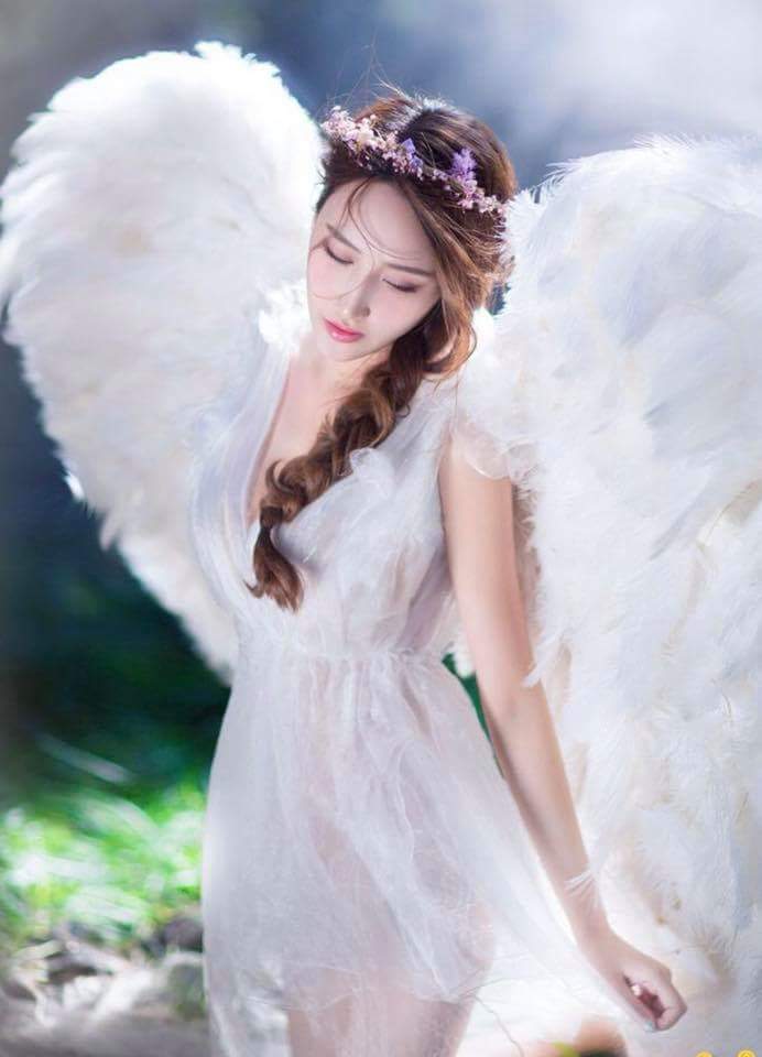 若愛，請深，,如棄，請徹底