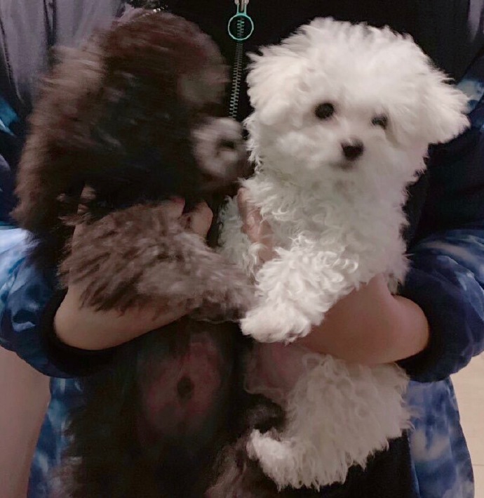 [GFRIEND][分享]181216 果汁美砰砰的嚴智近照動搖飯心的氛圍女神！