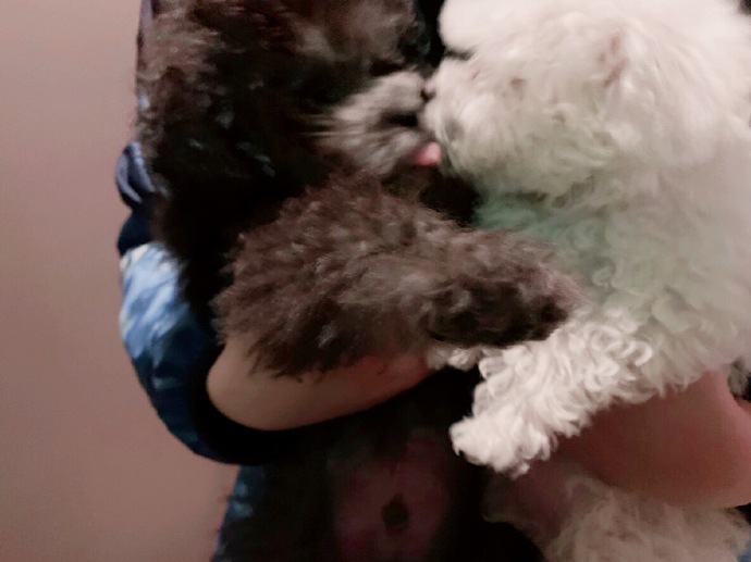 [GFRIEND][分享]181216 果汁美砰砰的嚴智近照動搖飯心的氛圍女神！