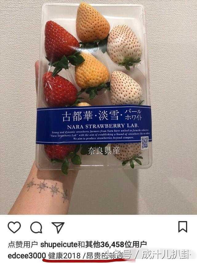 陳冠希家裡到底多有錢？女友隨手PO了「這一張水果照」網友嚇傻：這才是土豪！ 