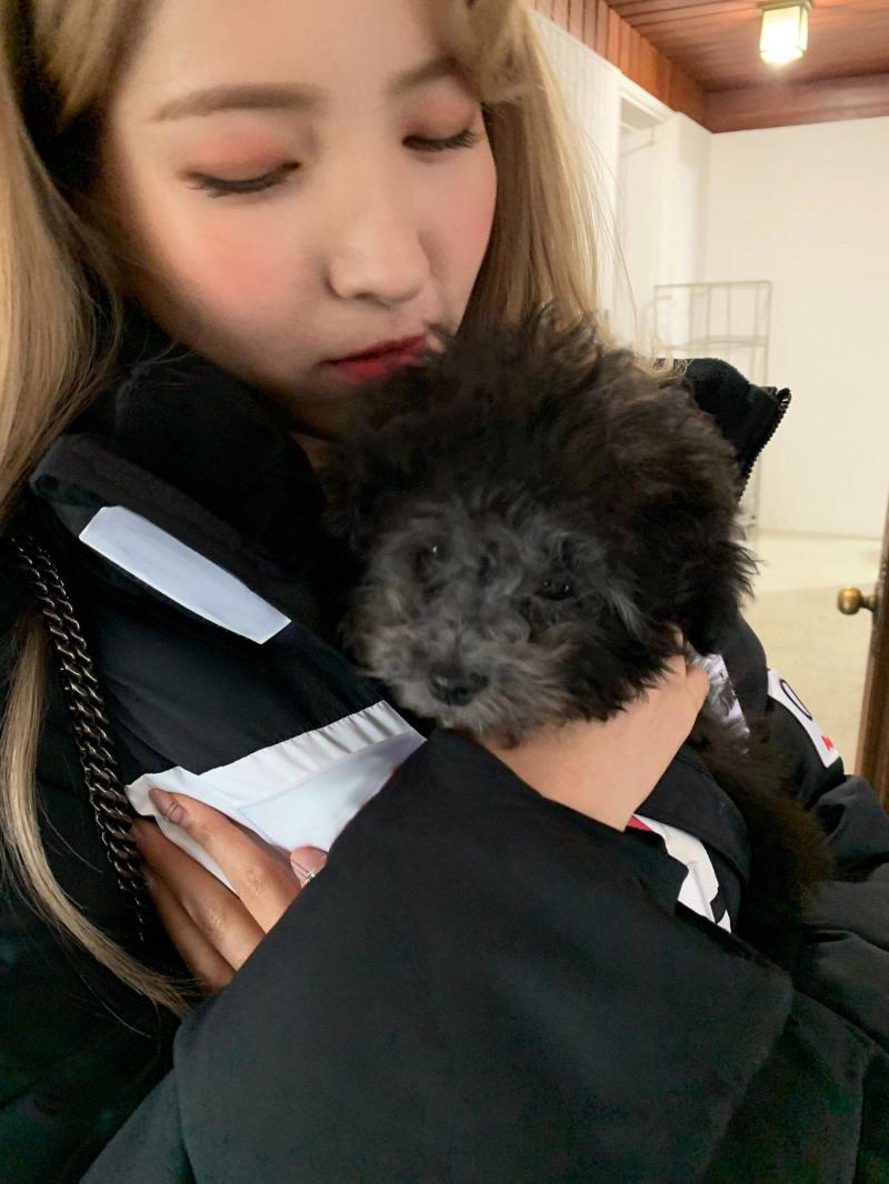 [GFRIEND][分享]181213 組合Rainz成員洪殷基直播提及俞宙二人曾是同班同學