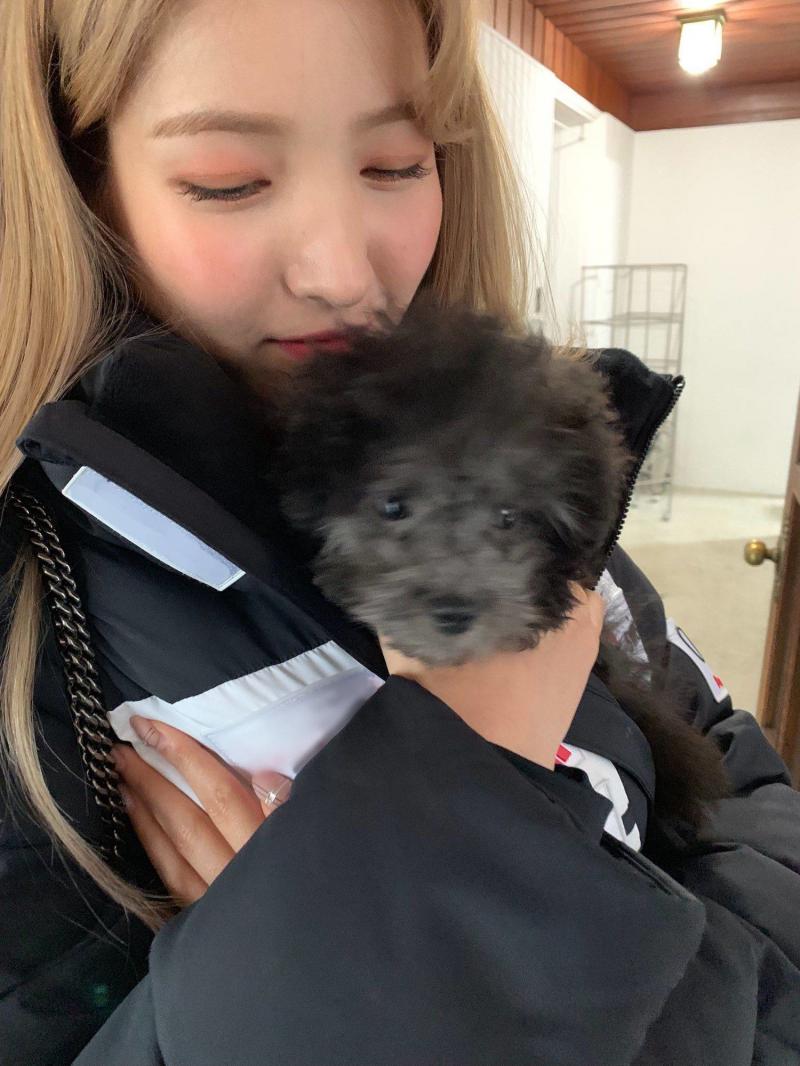 [GFRIEND][分享]181213 組合Rainz成員洪殷基直播提及俞宙二人曾是同班同學