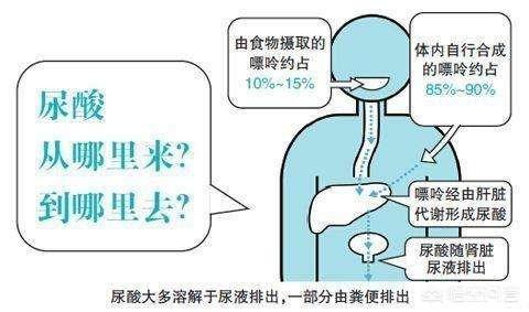 老火靚湯里會含有大量嘌呤？煲湯如何避免，湯中嘌呤過高，就不能喝，否則會導致痛風