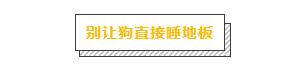 讓狗生不如死的關節炎，該怎麼預防？
