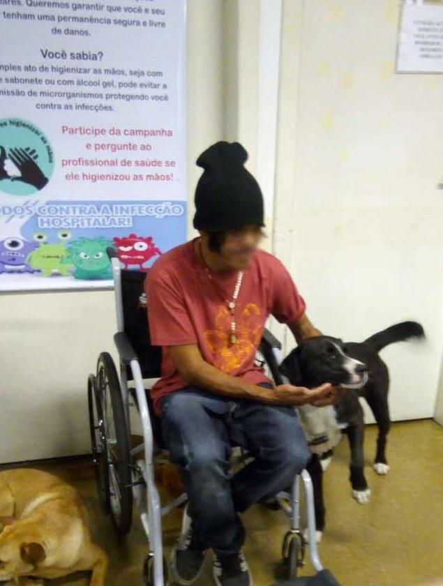 殘疾流浪漢因病住院，醫院門口多出4隻狗狗，背後故事感動護士