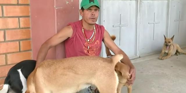 殘疾流浪漢因病住院，醫院門口多出4隻狗狗，背後故事感動護士