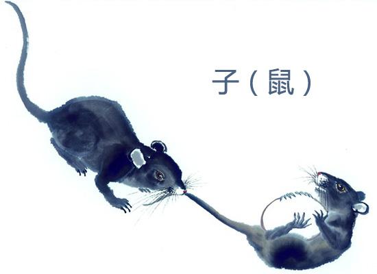 過了冬至好運連連的7生肖