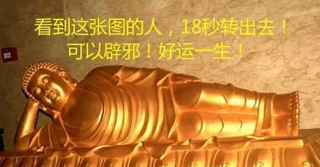2018漏財不斷，2019年可以「收入暴漲」，豬年一到橫財大發的生肖！