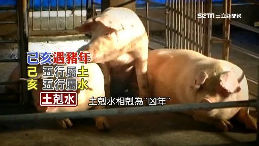 恐怖2019！明年屬「大凶」專家說話了！不只病豬… 台灣恐遇大災難 網：阿彌陀佛