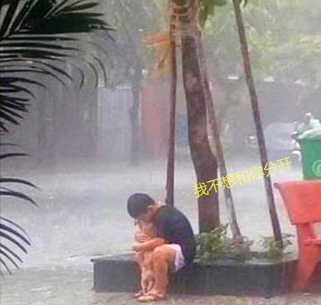 家人不允許養狗，小男孩雨中抱狗道別，久久不舍放開，鄰居下定決心感動小男孩