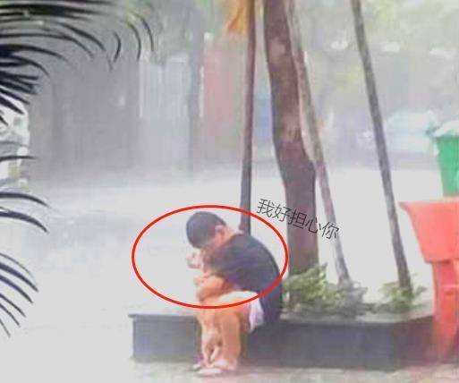 家人不允許養狗，小男孩雨中抱狗道別，久久不舍放開，鄰居下定決心感動小男孩