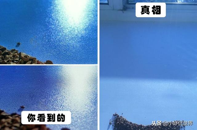 19張照片告訴你：我們在朋友圈看到的完美照片背後所隱藏的秘密 