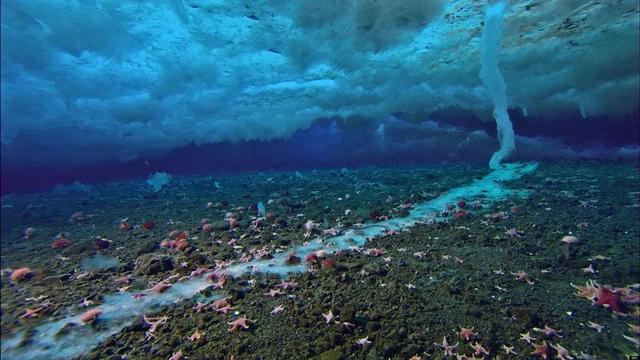 海下湖泊太夢幻　6個海洋奇景 