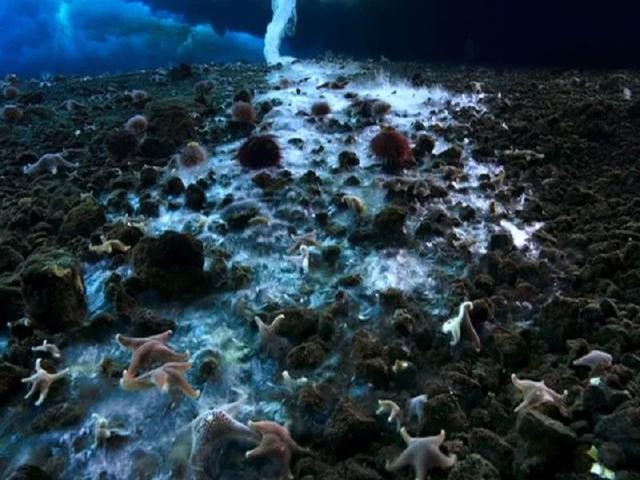 海下湖泊太夢幻　6個海洋奇景 