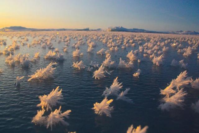 海下湖泊太夢幻　6個海洋奇景 