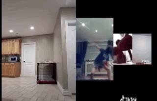 看完美國版抖音，我笑得滿地找頭！