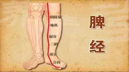 它是中醫認為的身體最重要的地方！它好了才會生病少！