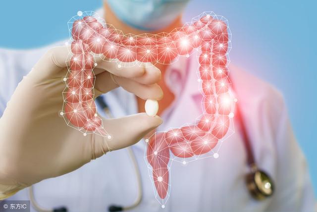 告別口臭、便秘、色斑！八大清腸能手，還你一個健康腸道