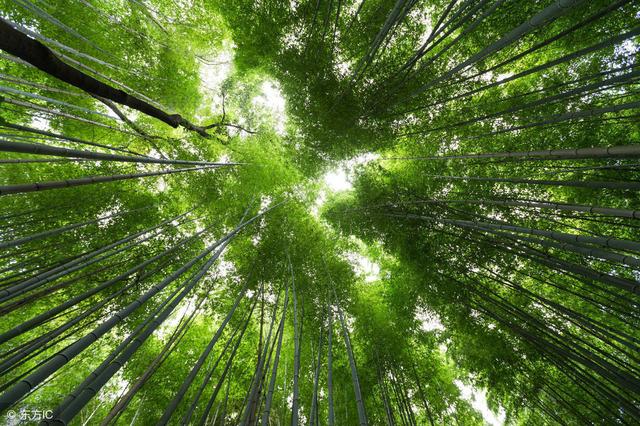 稻盛和夫：我可以斷言，人生的道路都是由心來描繪的！直指人心啊