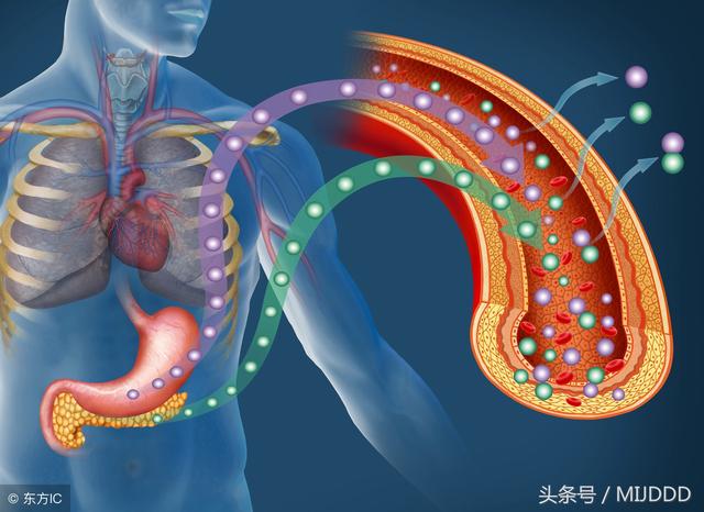 勵志十則：拒絕拖延，拒絕懶惰！想要，就立即行動！