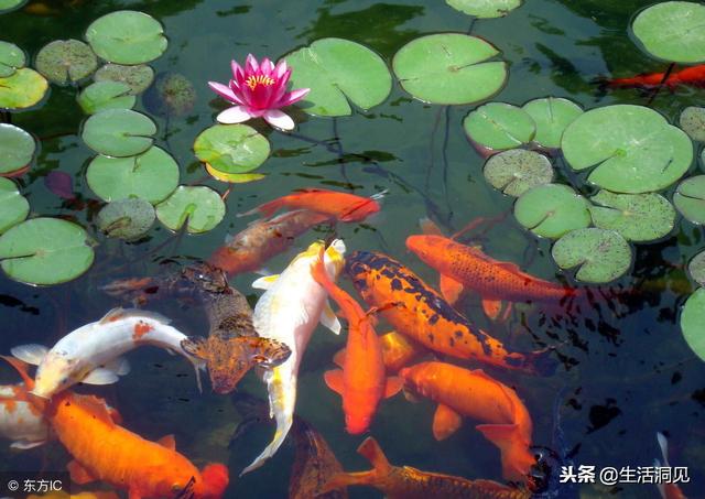 命苦的時候，這樣走著走著，就時來運轉了