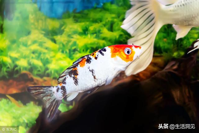 命苦的時候，這樣走著走著，就時來運轉了