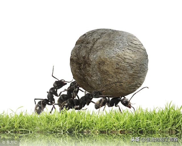 比爾蓋茨經典的十句話，受用終身，值得收藏