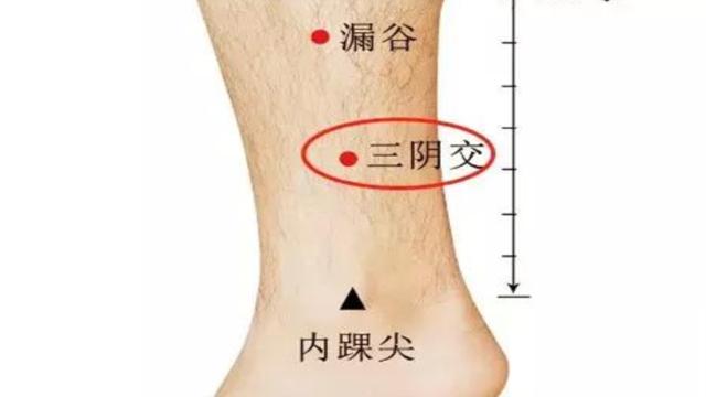 不管什麼病，一定要灸腿！