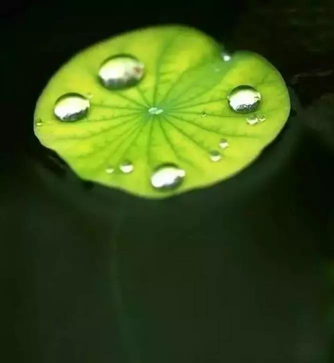 溝通！（寫得真好）...