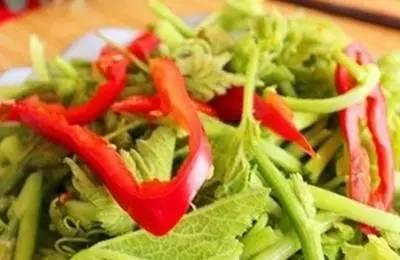 很多人只吃瓜不吃葉子，原來葉子能治胃痛、降血壓、去結石！看來真的走寶了！