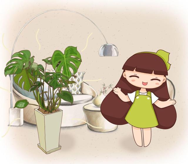 20種吸甲醛花卉，號稱綠色凈化器，清除甲醛去異味，養一盆就賺到了 